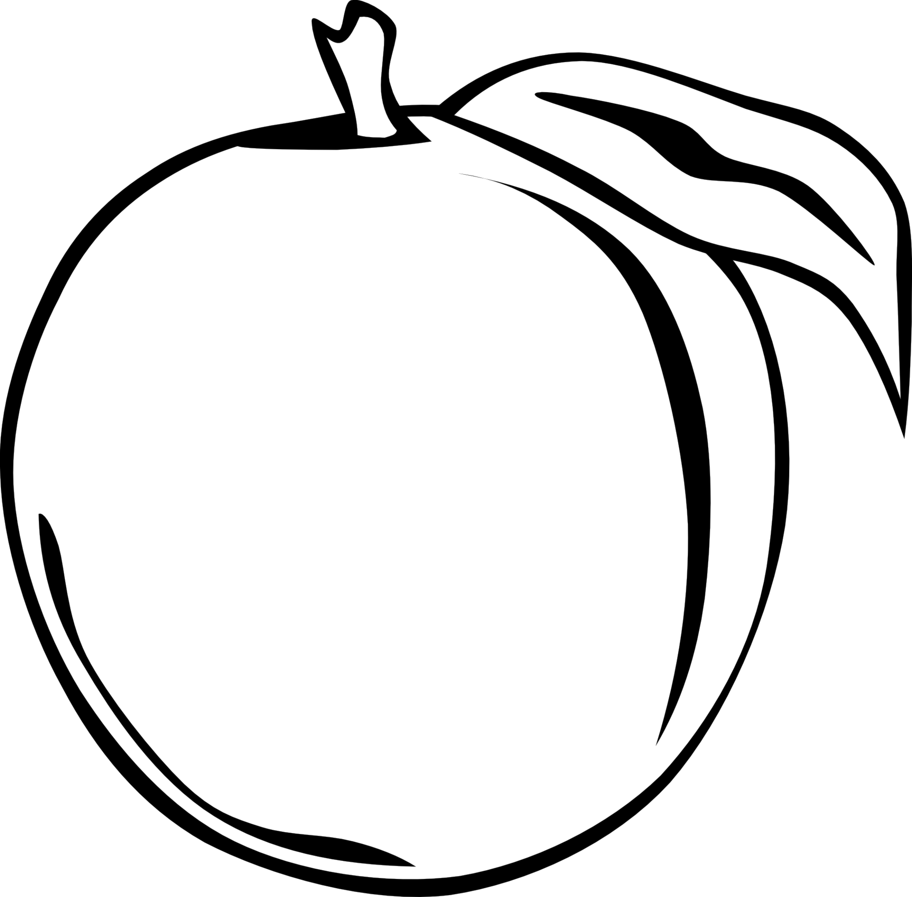1871x1839 Peach Clipart Orange Fruit