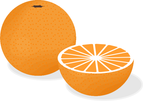 600x425 Orange Fruit Vector Clip Art