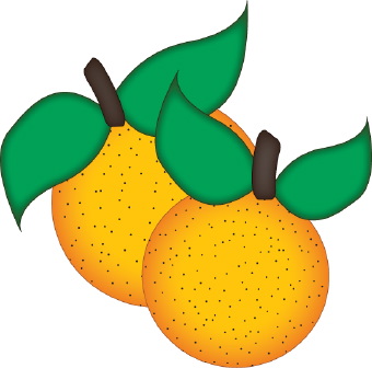 340x336 Oranges Clipart Kid 2