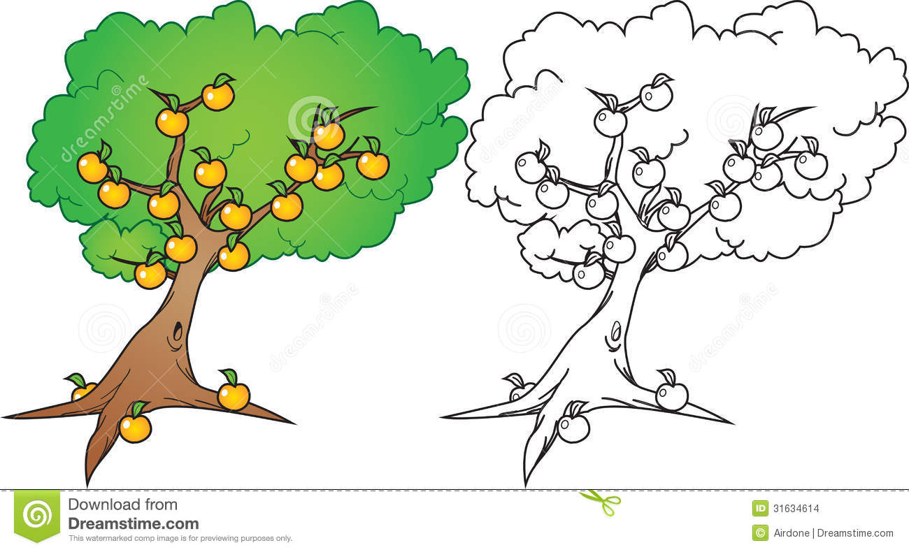 1300x790 Orange Tree Clipart Black And White