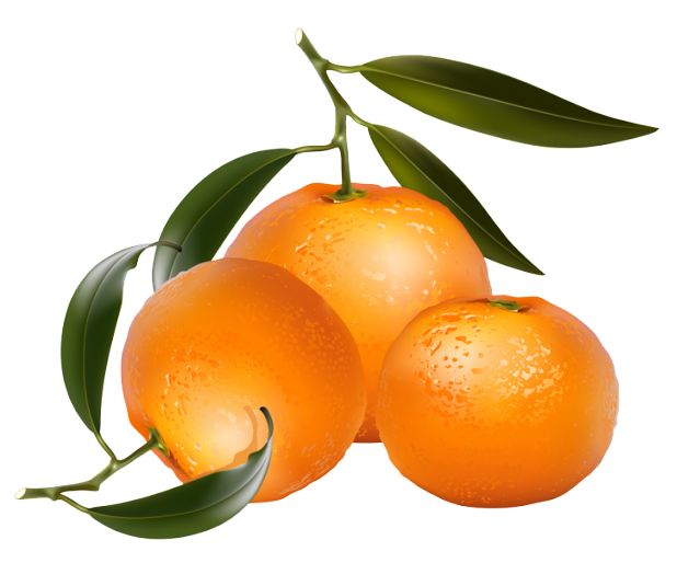 639x514 Oranges Clipart Free