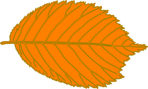 600x361 Orange Leaf Clip Art