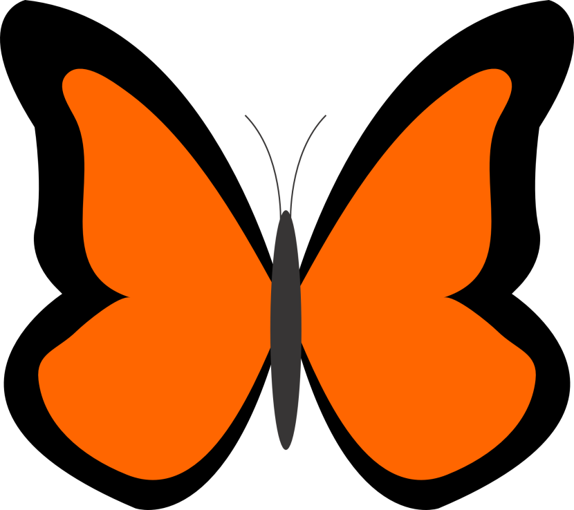 830x738 Orange Clipart