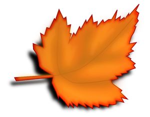 300x234 The Best Maple Leaf Clipart Ideas Maple Leaf
