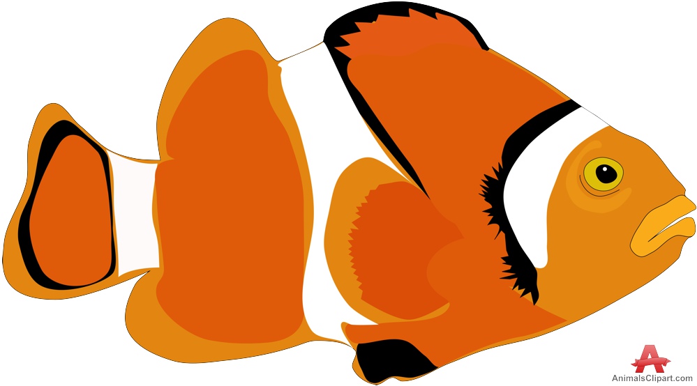 999x554 Beautiful Orange Fish Free Clipart Design Download