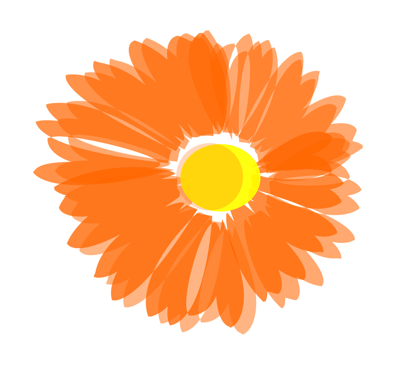 781x720 Orange Flower Clipart Art