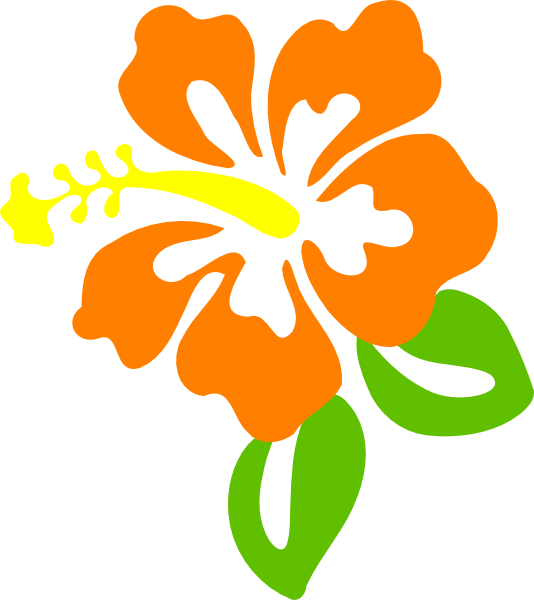 534x600 Orange Hibiscus Clip Art