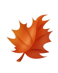 236x297 Fall Leaves Tree With Autumn Leaves Illustrationlor Clip Art 2