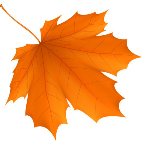 Orange Leaf Clipart | Free download on ClipArtMag