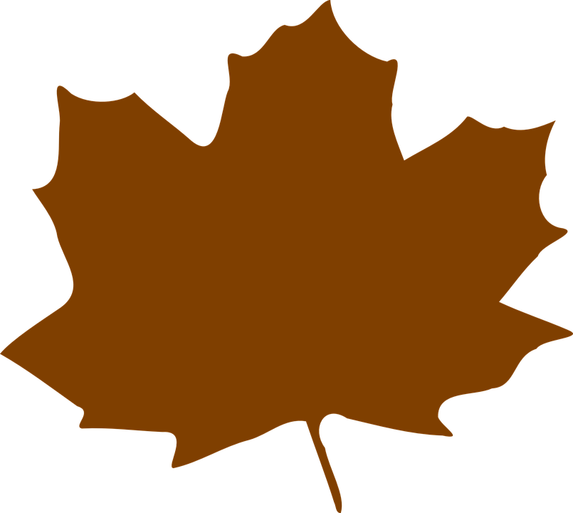 805x720 Maple Leaf Clipart Graphic