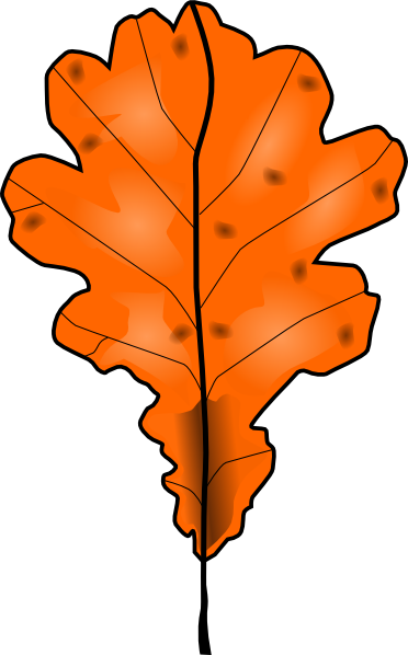 372x598 Tree Leaf Clip Art