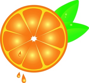 300x281 Free Orange Clipart Image 0515 1006 2302 4254 Food Clipart