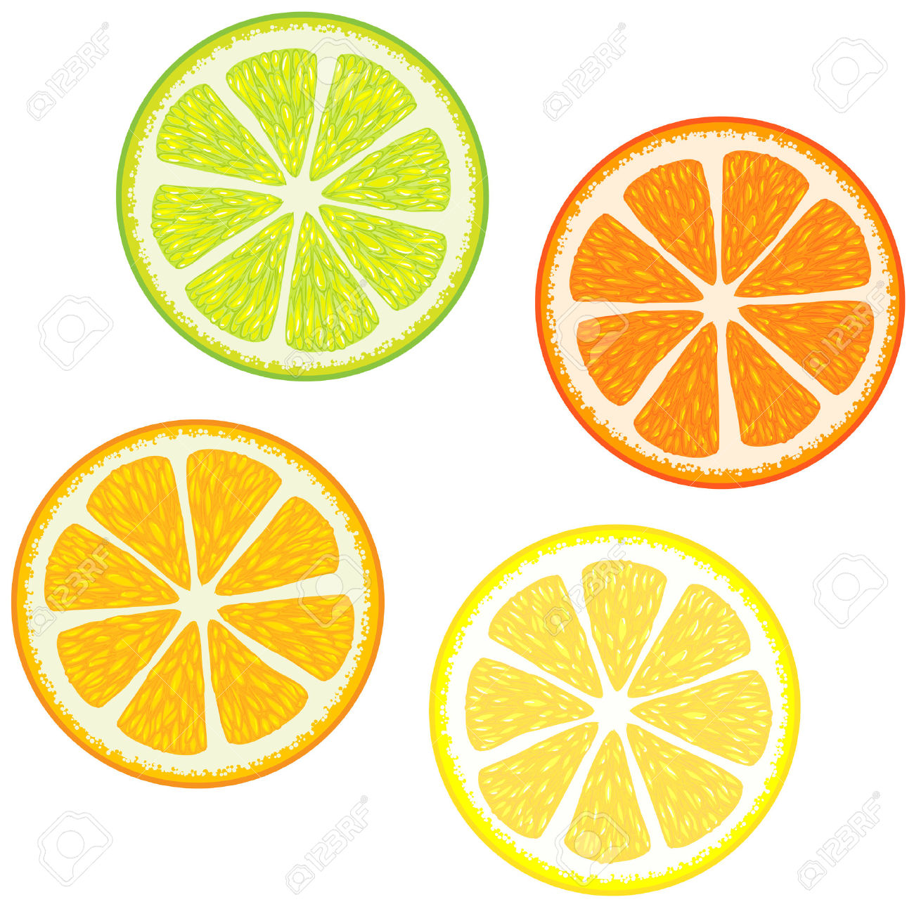 1300x1294 Orange (Fruit) Clipart Lime Slice