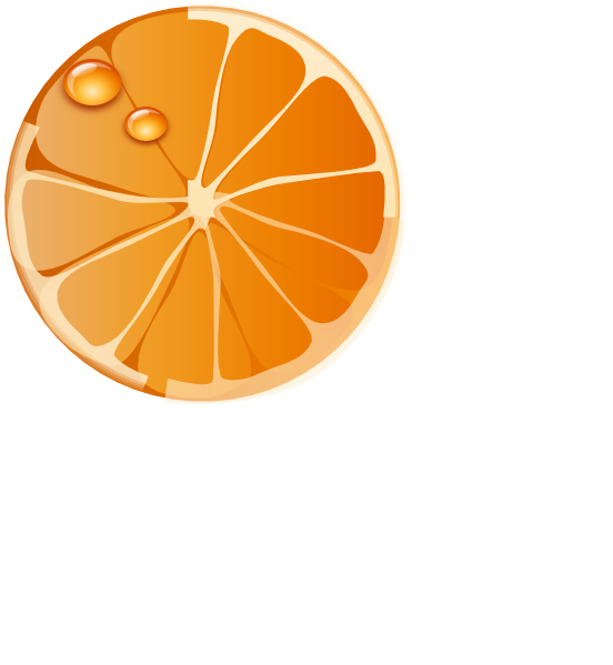 552x599 Orange Slice Clip Art