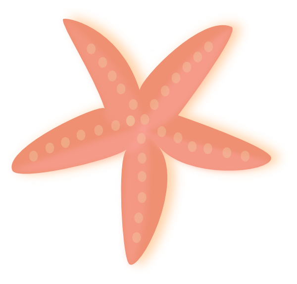 600x573 Coral Starfish Clip Art