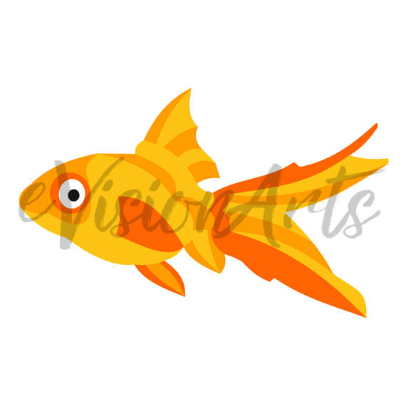 570x570 Fish Clipart Fish Clip Art Seahorse Clipart Angelfish