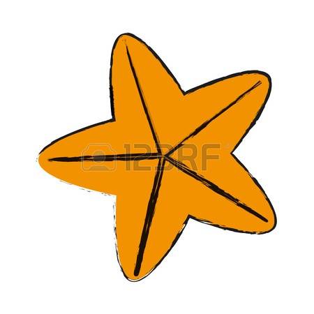 450x450 Top 82 Seastar Clipart