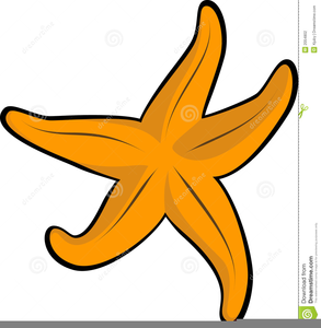 293x300 Clipart Of A Starfish Free Images