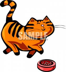 276x300 Tabby Cat Prancing In Front Of A Dish Of Food
