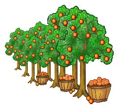 246x222 Clipart Orange Tree