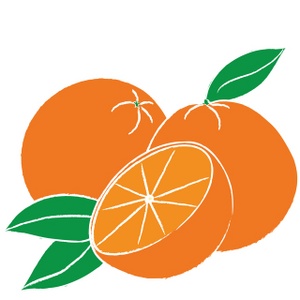 300x300 Free Oranges Clipart Image 0515 0910 2711 0036 Food Clipart