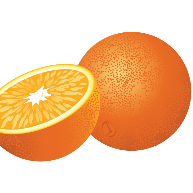 620x620 Fresh Clipart Orange