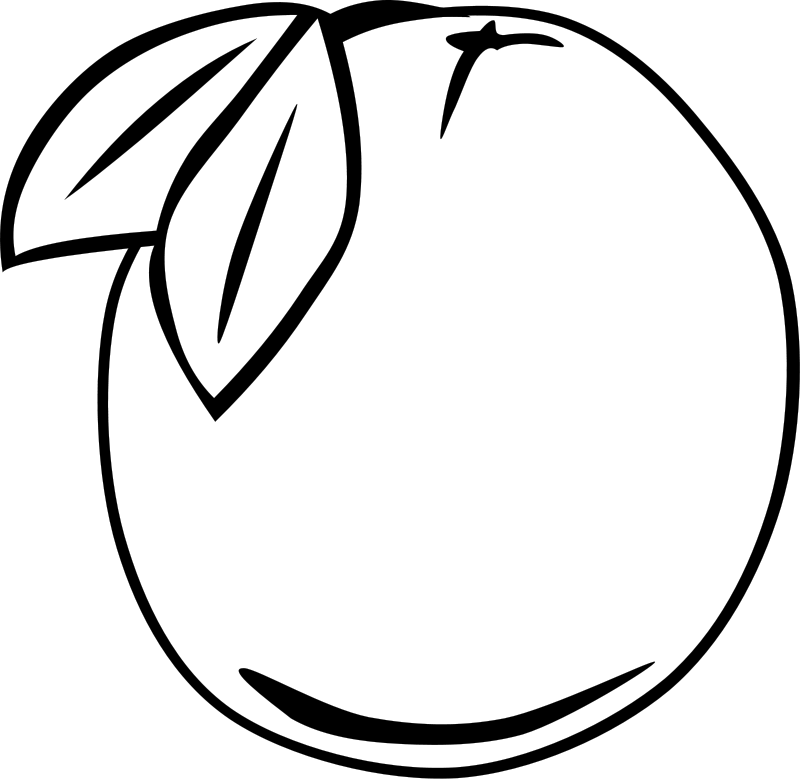 800x780 Orange (Fruit) Clipart Colouring