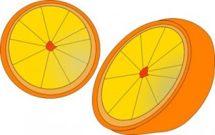 310x194 Orange Outline Clip Art Free Vectors Ui Download