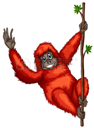 331x450 Illustration Of A Single Orangutan Royalty Free Cliparts, Vectors