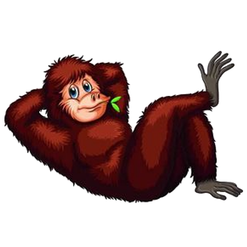 500x500 Orangutan Monkey Images