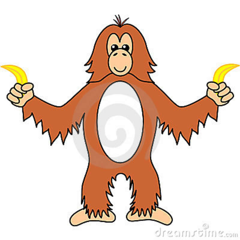 800x800 Top 98 Orangutan Clipart