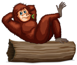 300x255 Chimpanzee Being Locked In The Cage Illustration Royalty Free