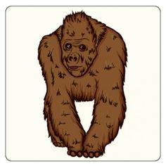 236x236 Free Orangutan Clipart, 1 Page Of Public Domain Clip Art