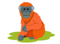 210x153 Free Orangutan Clipart