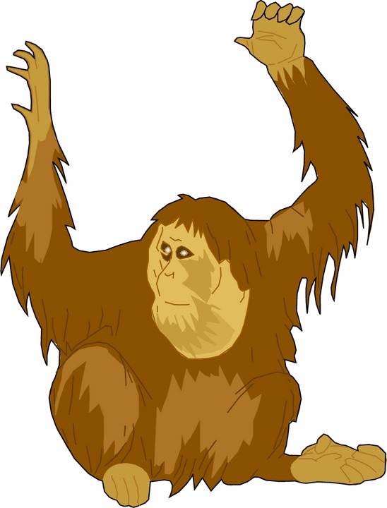 Orangutan Clipart Free | Free download on ClipArtMag