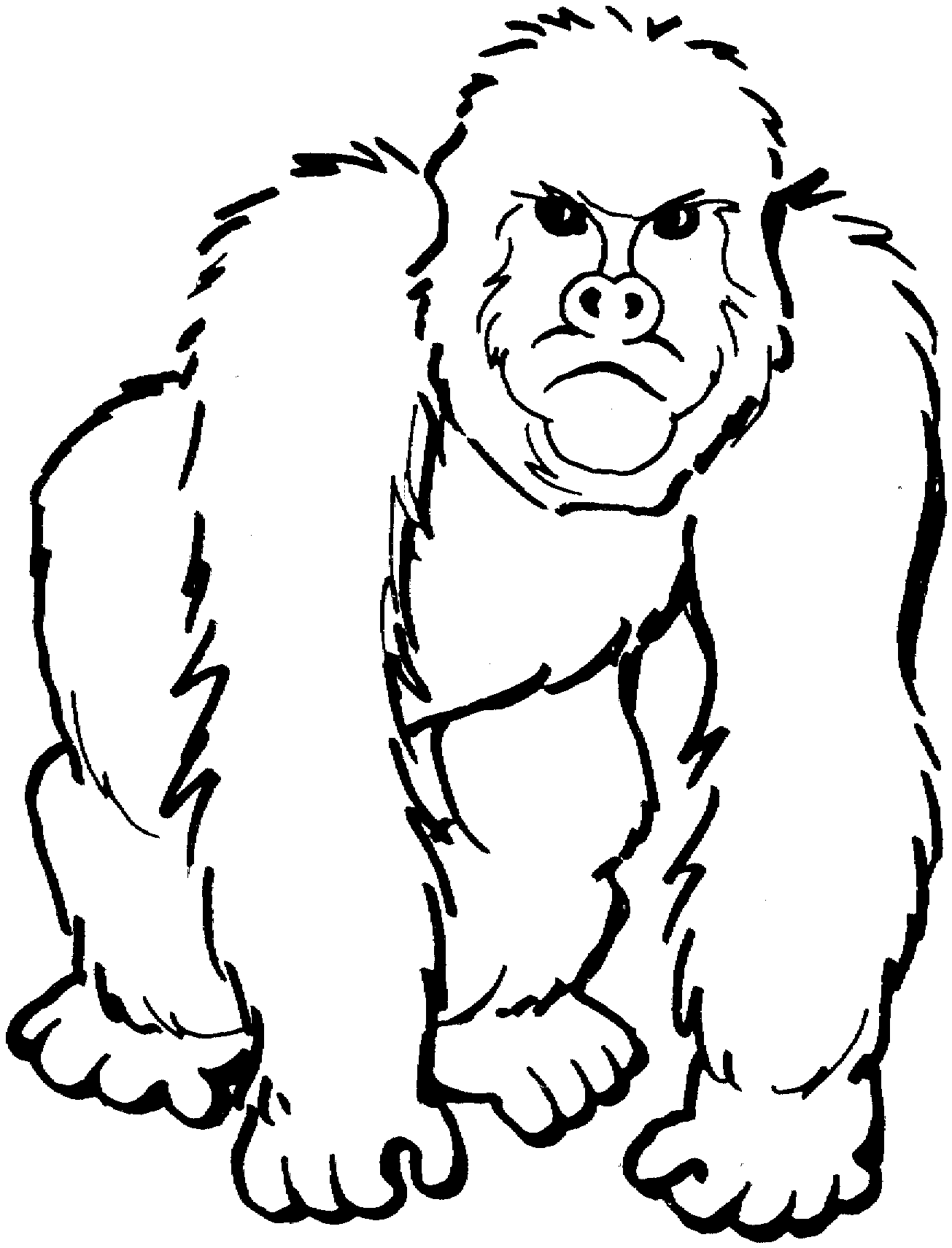 1305x1710 Orangutan Clipart Black And White