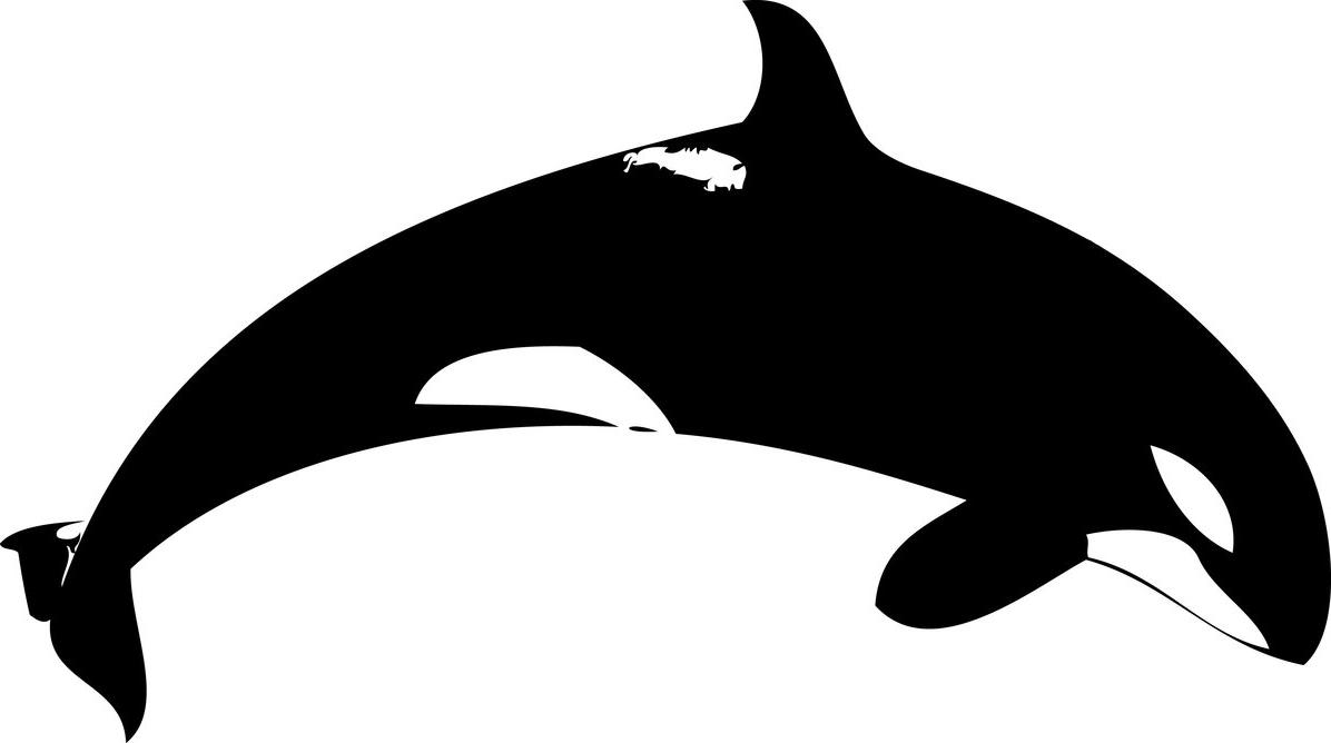 Orca Clipart