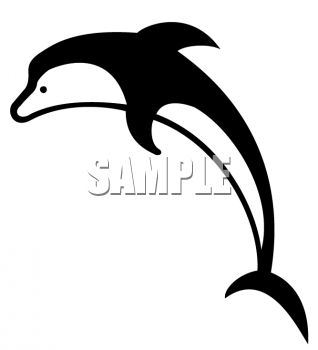 318x350 Black And White Orca