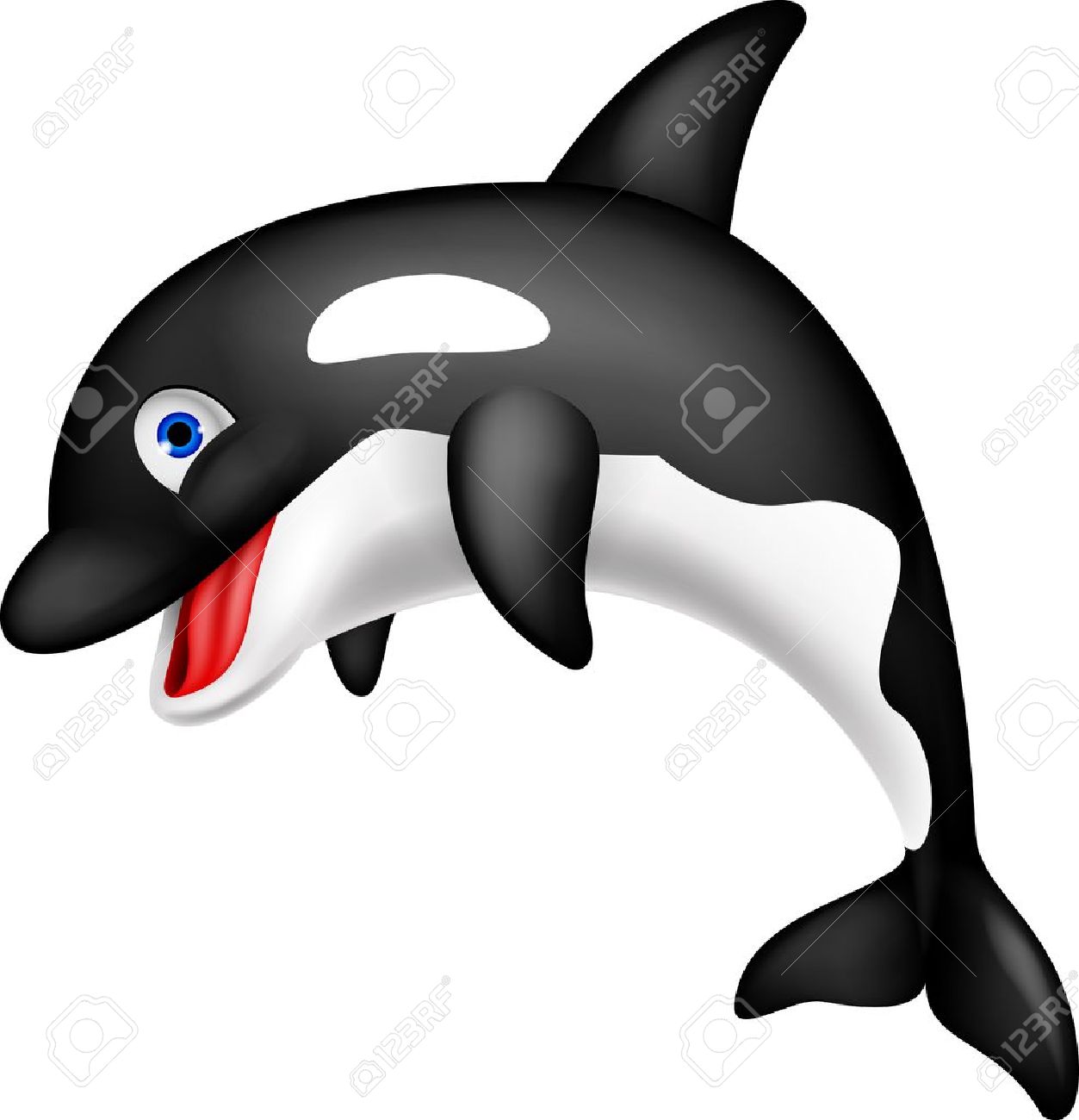 1253x1300 Orca Whale Clip Art