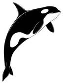 170x170 Top 88 Orca Clipart