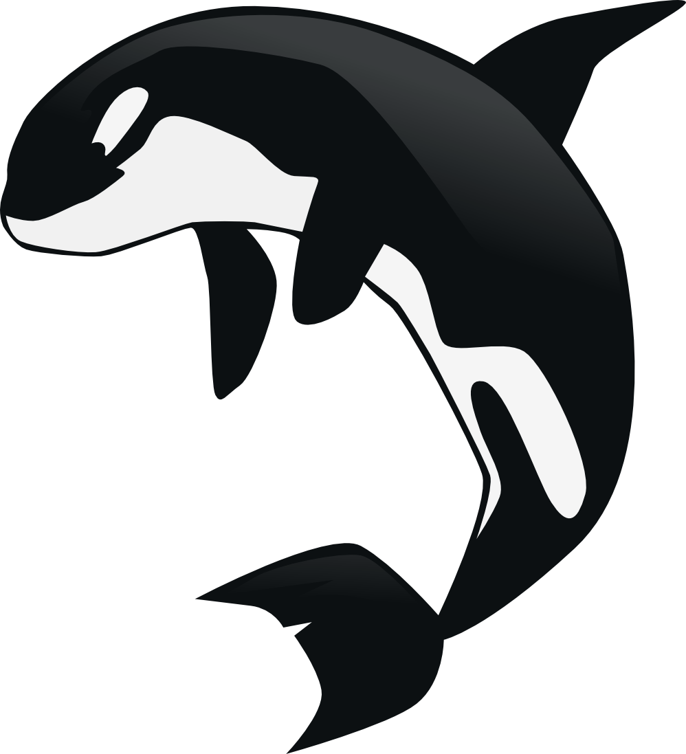 998x1097 Top 88 Orca Clipart
