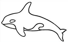 260x162 Free Orca Clipart