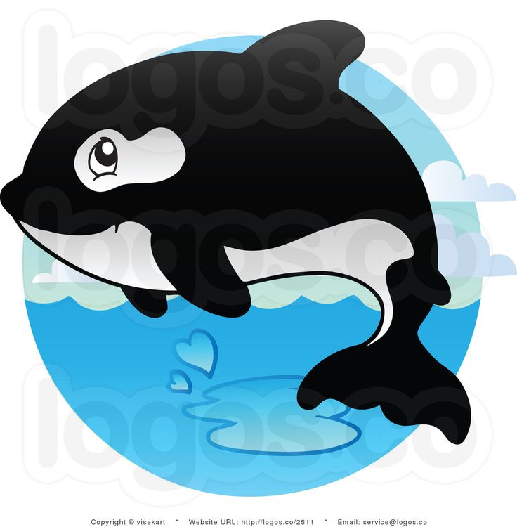 Orca Whale Clipart