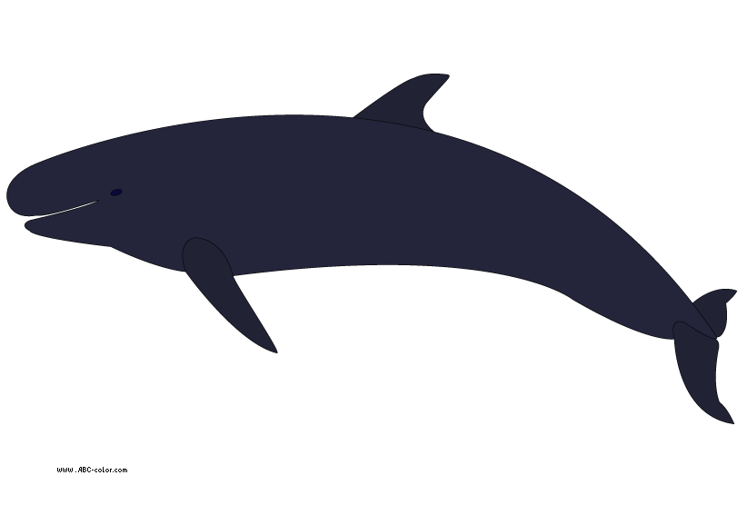 822x567 Humpback Whale Clipart Orca Whale