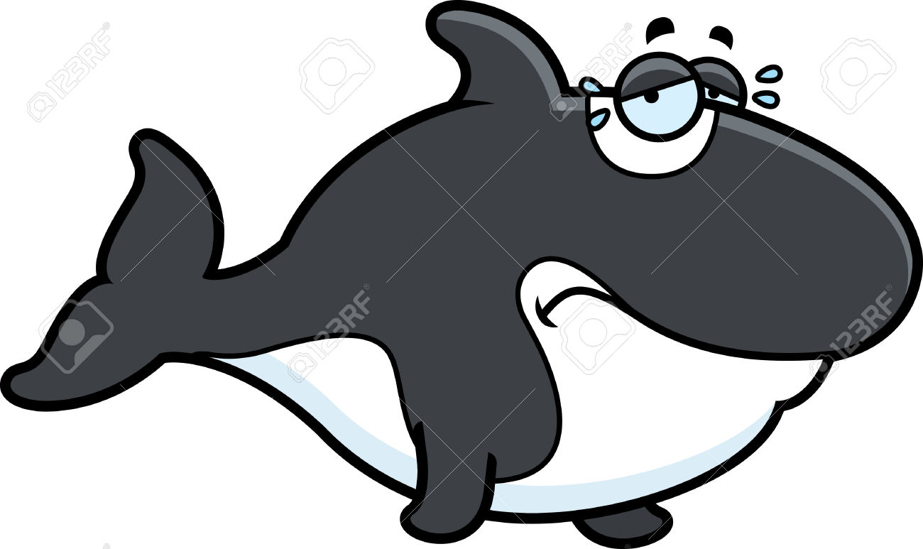 1300x773 Killer Whale Clipart Tail