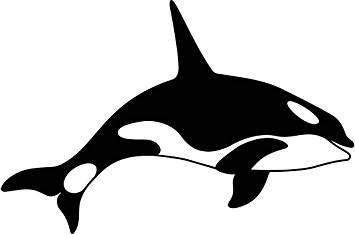 355x234 Killer Whale Clipart Water Animal