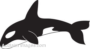 300x164 Whale Clipart Black And White Clipart Panda