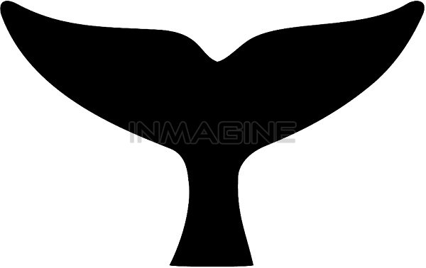 600x378 Whale Tail Clip Art