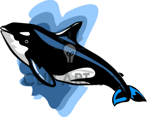 300x240 Orca Clip Art