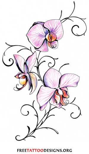 300x520 Orchid Tattoo Other Flowers That Are Often Used For Tattoos Are
